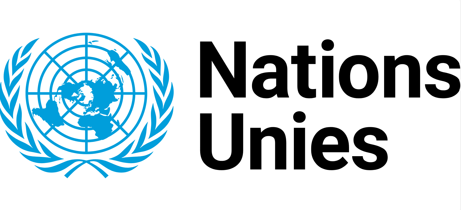 Logo agence des nations-unies